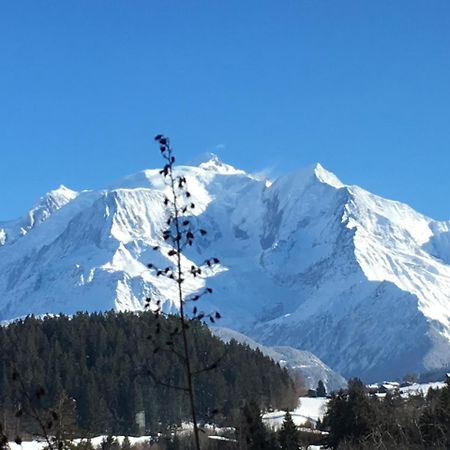Отель Les 4 Vallees Альбервиль Экстерьер фото